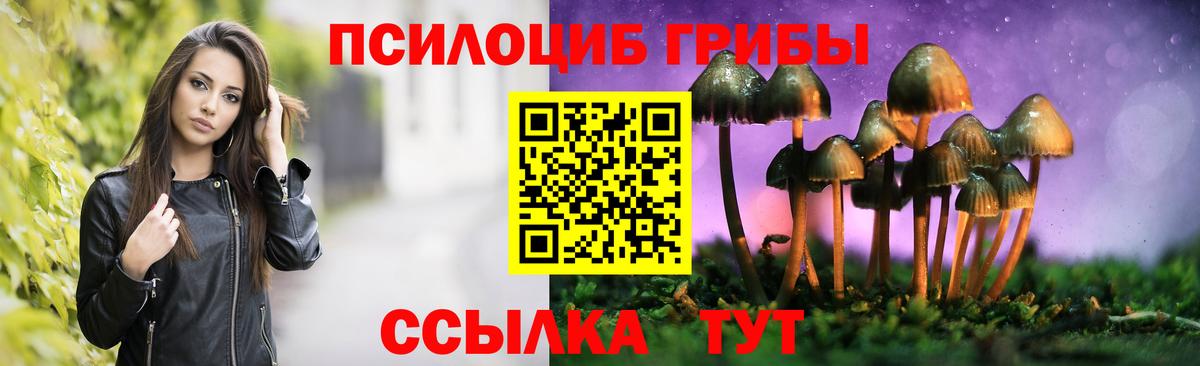 Иркутск  Галлюциногенные грибы Psilocybe  Вход с VPN 